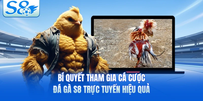 Bí quyết tham gia cá cược đá gà S8 trực tuyến hiệu quả 