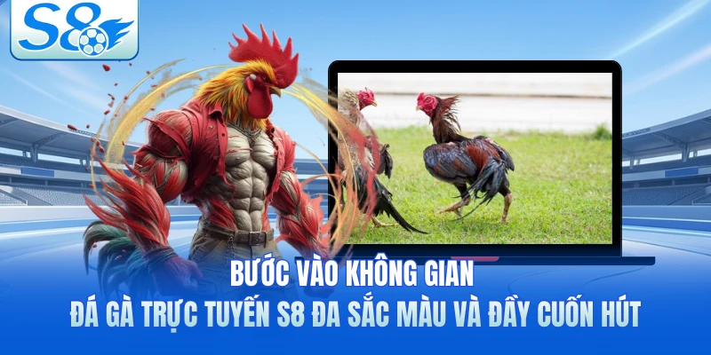 Bước vào không gian đá gà trực tuyến S8 đa sắc màu và đầy cuốn hút 