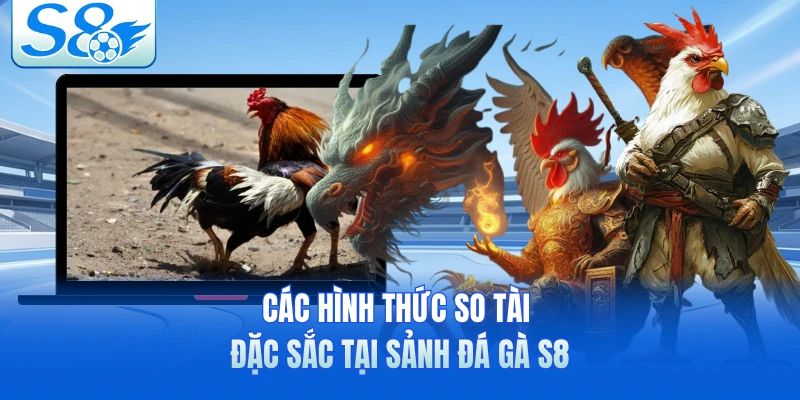 Các hình thức so tài đặc sắc tại sảnh đá gà S8 