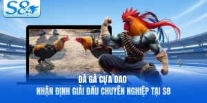 Đá Gà Cựa Dao - Nhận Định Giải Đấu Chuyên Nghiệp Tại S8