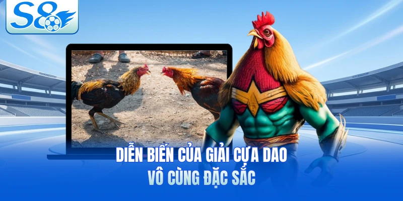 Diễn biến của giải cựa dao vô cùng đặc sắc