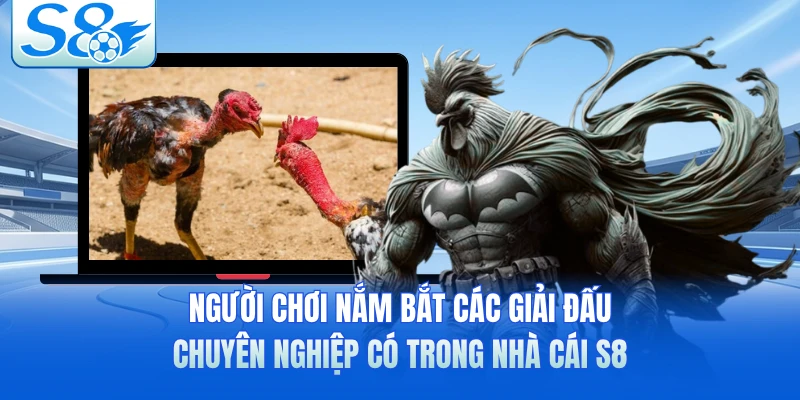 Người chơi nắm bắt các giải đấu chuyên nghiệp có trong nhà cái S8